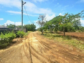 Land