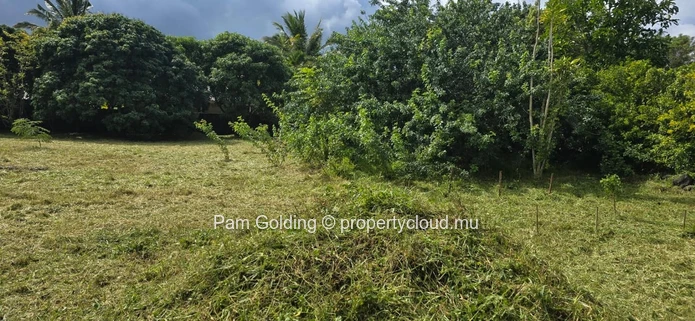Piton – Land for sale – Pam Golding Mauritius