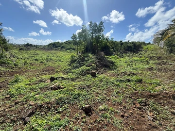 Residential Land