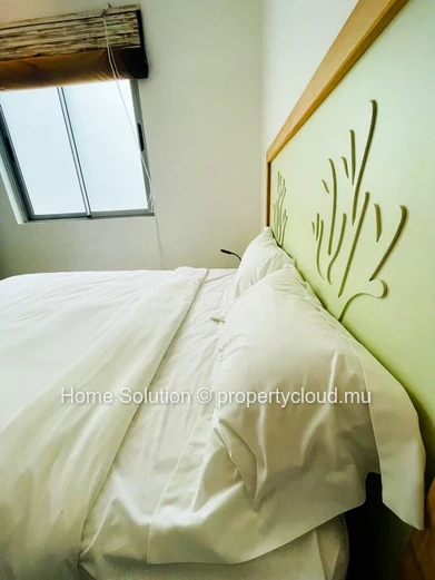 "PET-FRIENDLY" Beachfront Apartment