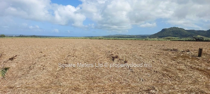 Terrain agricole à vendre Souillac (Mandat exclusif)