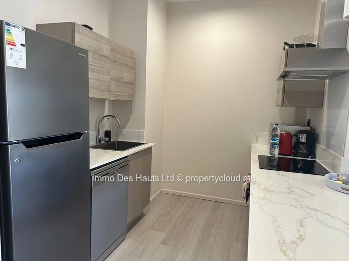 2-bedroom Apartment fully furnished for rent Moka 