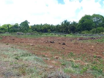 Residential Land