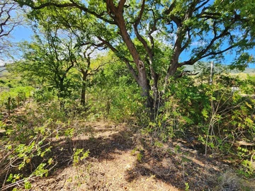 Residential Land