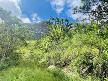 Agricultural Land