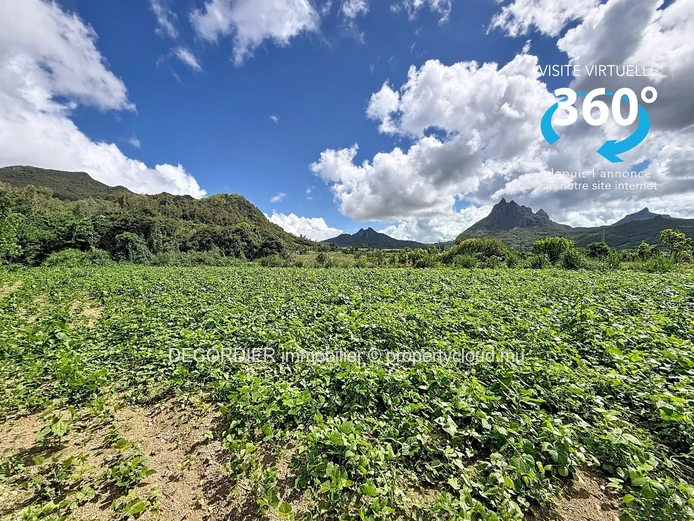 Rare sur le marché – Terrain agricole spacieux