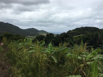 Agricultural Land