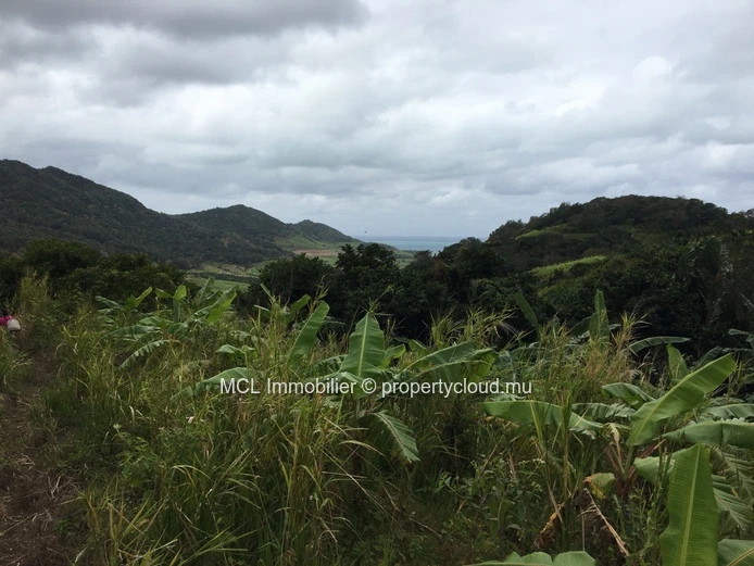 Terrain agricole de 9 arpents 42 perches  à Anse Jonchée
