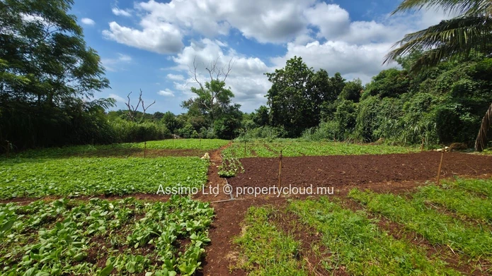 Terrain résidentiel à vendre à Terre Rouge – 1?055 m² idéal pour construction