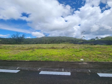 Land