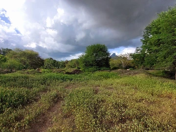 Residential Land