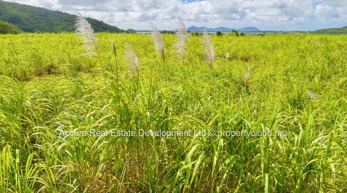 Great opportunity to invest in an agricultural plot of land in the Midlands !