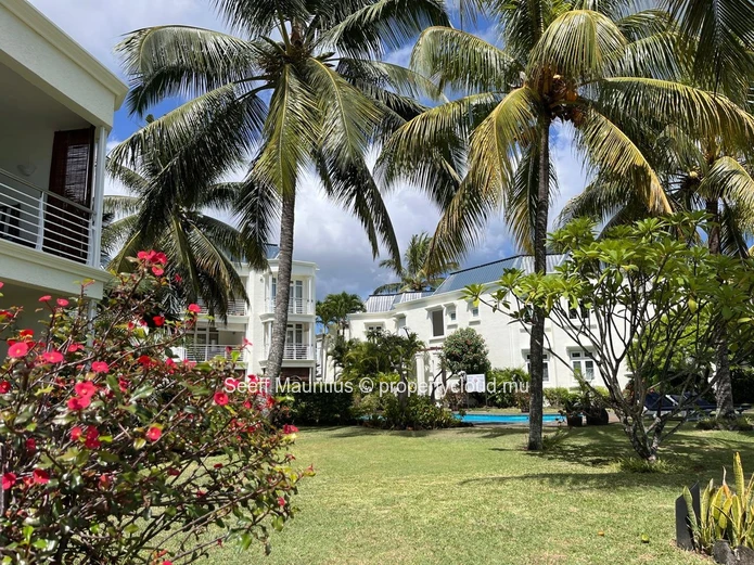 Oasis Tropicale en Bord de Mer