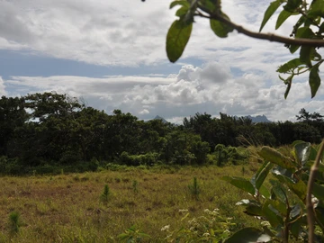 Residential Land
