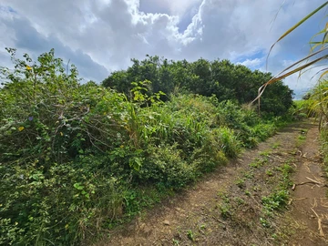 Agricultural Land