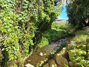 Agricultural Land