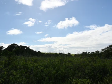 Terrain Agricole