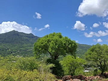 Residential Land