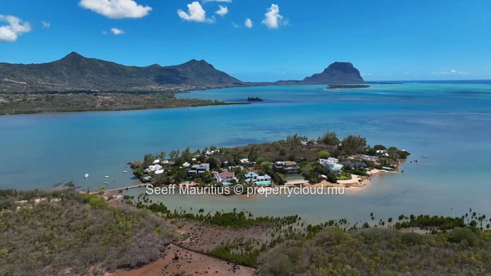 Coastal Paradise: Luxury Living on the West Coast