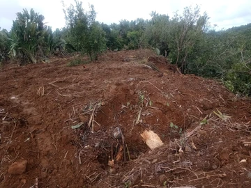 Agricultural Land