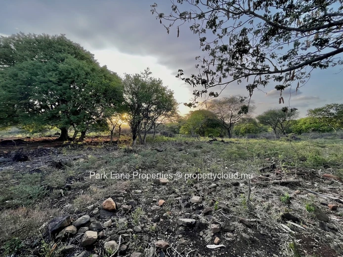For Sale – 1,438 m² Residential Plot in Les Riverains, Petite Rivière Noire