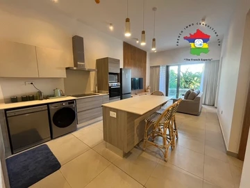 2 Bedroom Penthouse