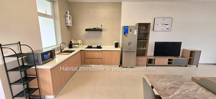 To rent : Stunning furnished and equipped apartment of 95 m² located in Sorèze  