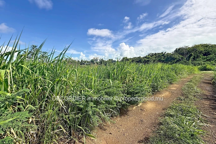 Terrain Résidentiel à Vendre – Grand Gaube