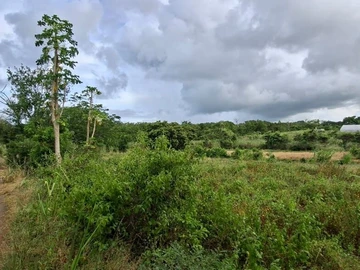 Residential Land