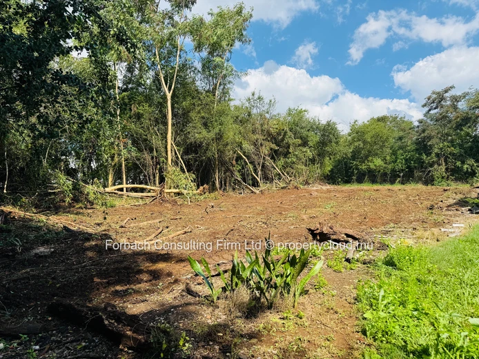 Morcellement Balaclava - terrain résidentiel avec une reserve de 30 mètres longeant La Rivière Citron