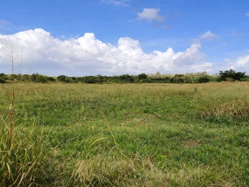 Terrain Agricole