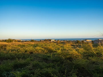 Residential Land