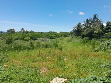 Commercial Land