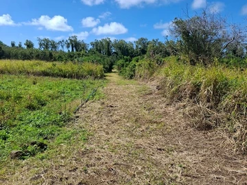 Residential Land
