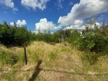 Commercial land for sale in Pamplemousses