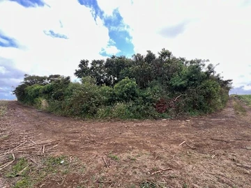Terrain Agricole