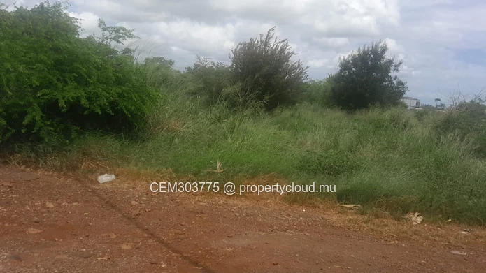 17-Arpent Agricultural Land for Sale – Petite Rivière | Directly on B31 Road 