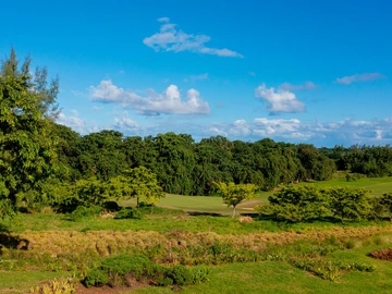 Terrain Résidentiel