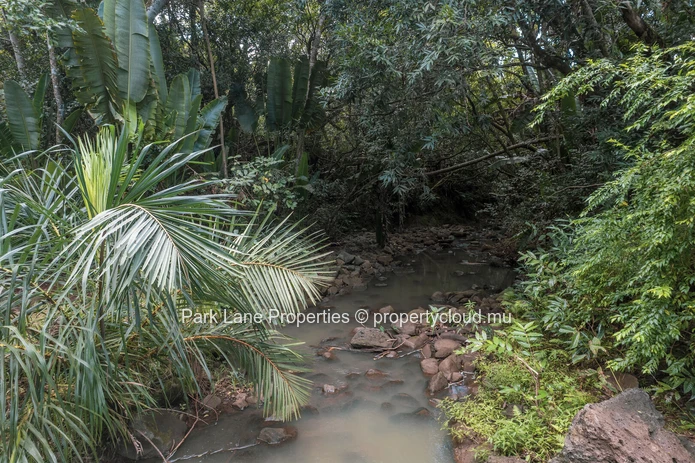 Beautiful Plot Surrounded by Nature next to River