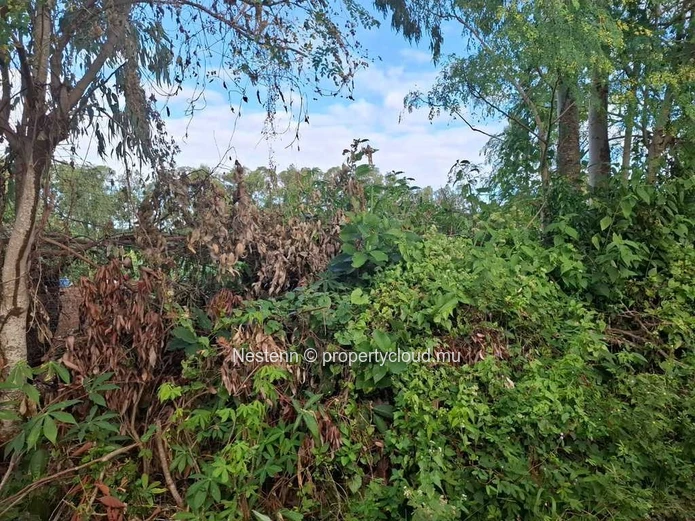 Land of 4965.12 m² 2.8 kms from main road.