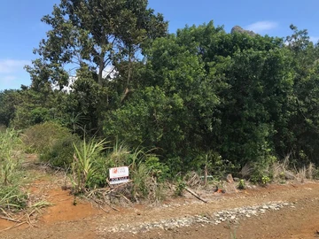 Agricultural Land
