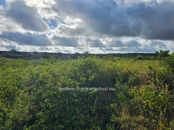 5 arpents 28 perches of agricultural land  Panoramic mountain & sea view