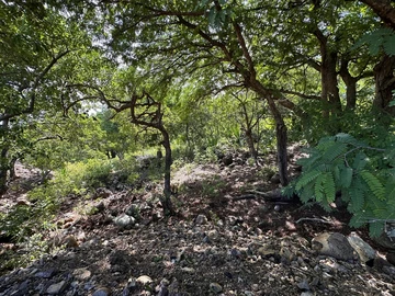 Residential Land