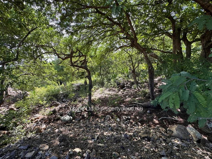 Residential Land For Sale In Black River