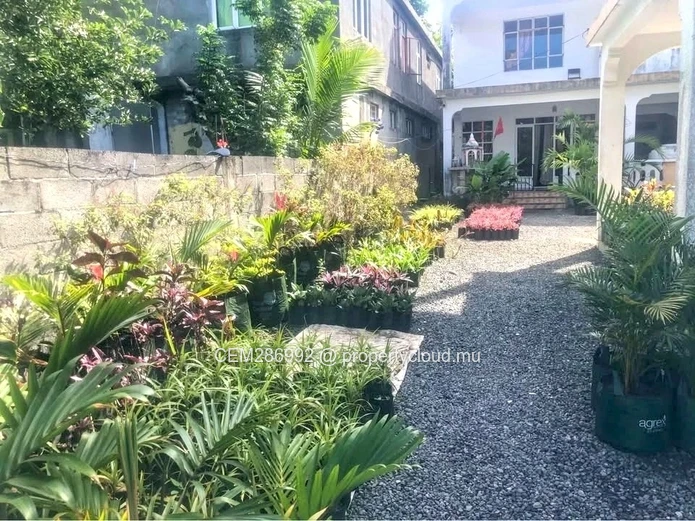 Deux maisons + pépinière à vendre - Quatre Cocos