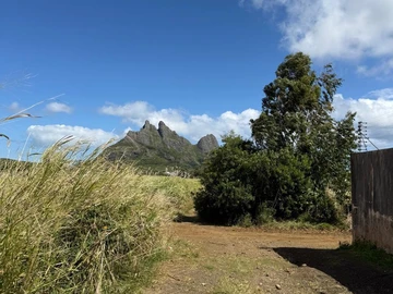 Agricultural Land