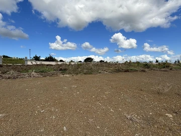 Terrain