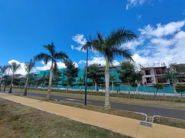 3 Bedroom Apartment