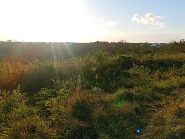 Residential Land