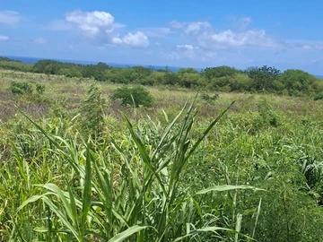 Residential Land